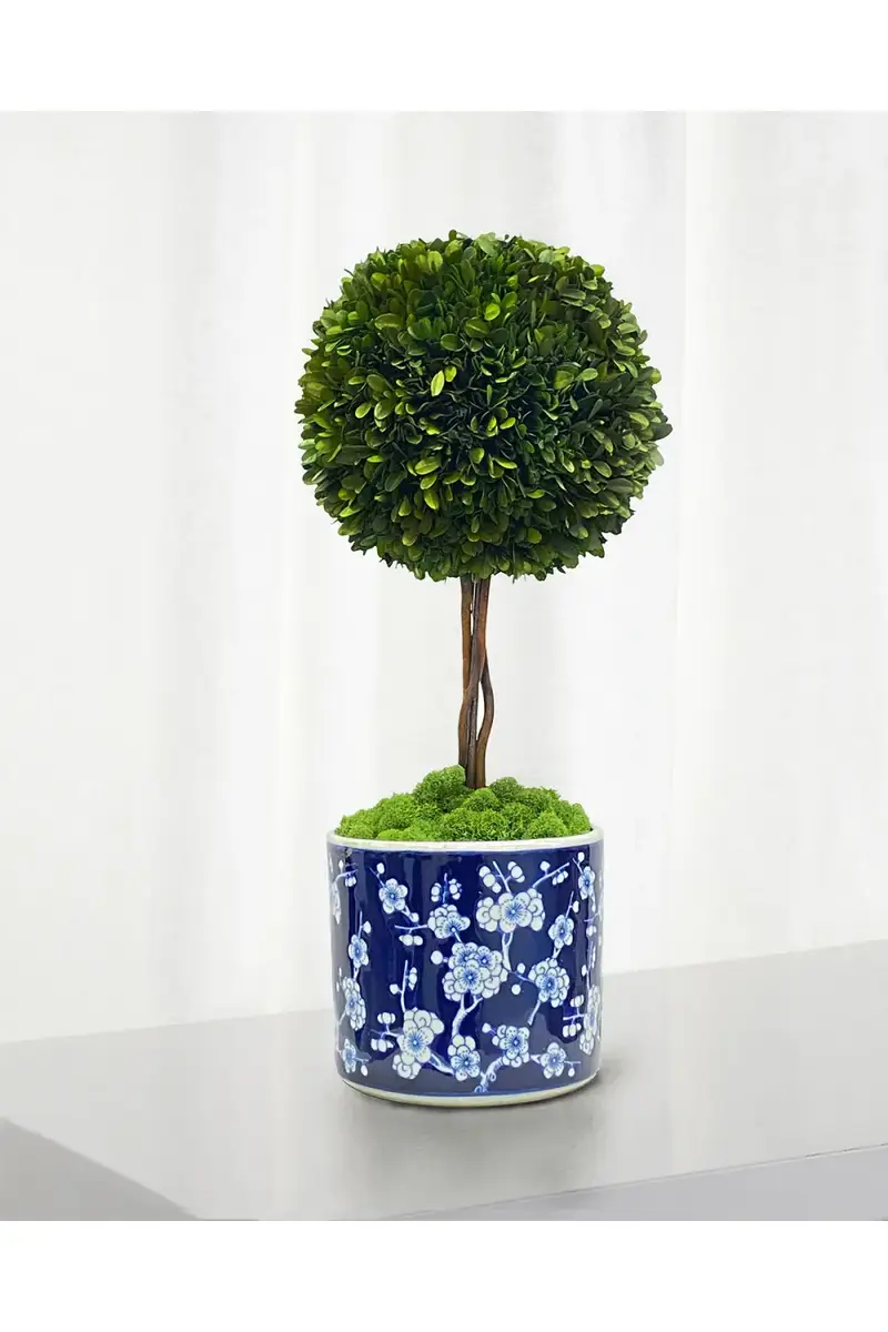 Winward Home Preserved Boxwood Ball Topiary In Round Porcelain Vase - 24" | Thumbnail 2 Winward Home Preserved Boxwood Ball Topiary In Round Porcelain Vase - 24" | Thumbnail 2
