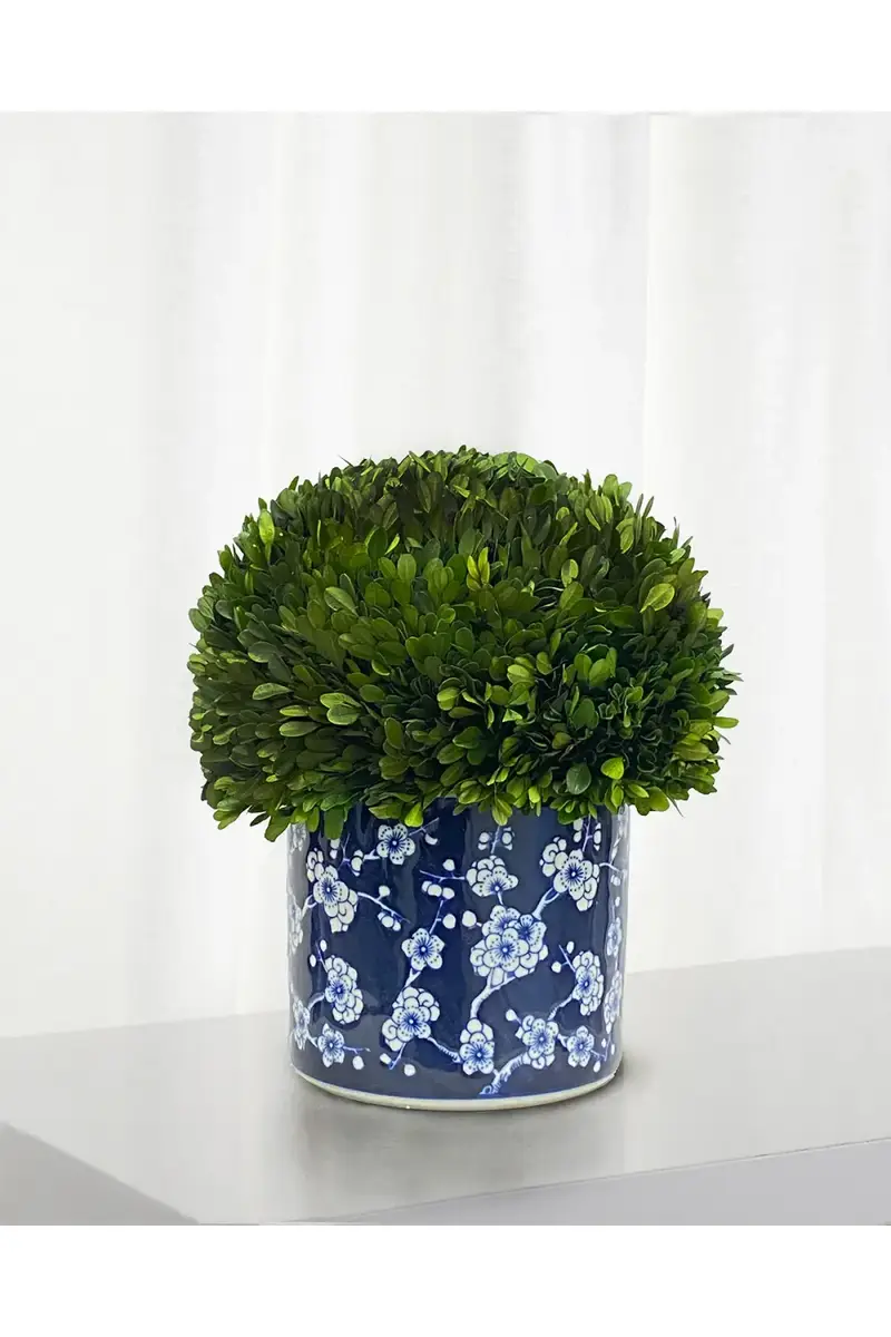 Winward Home Preserved Boxwood Half Ball Topiary In Porcelain Pot - 15" | Thumbnail 2 Winward Home Preserved Boxwood Half Ball Topiary In Porcelain Pot - 15" | Thumbnail 2