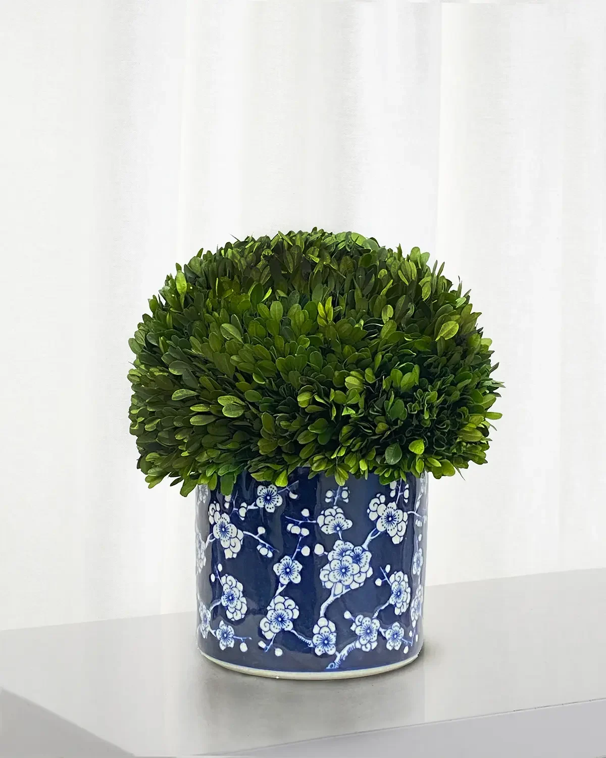 Winward Home Preserved Boxwood Half Ball Topiary In Porcelain Pot - 15"