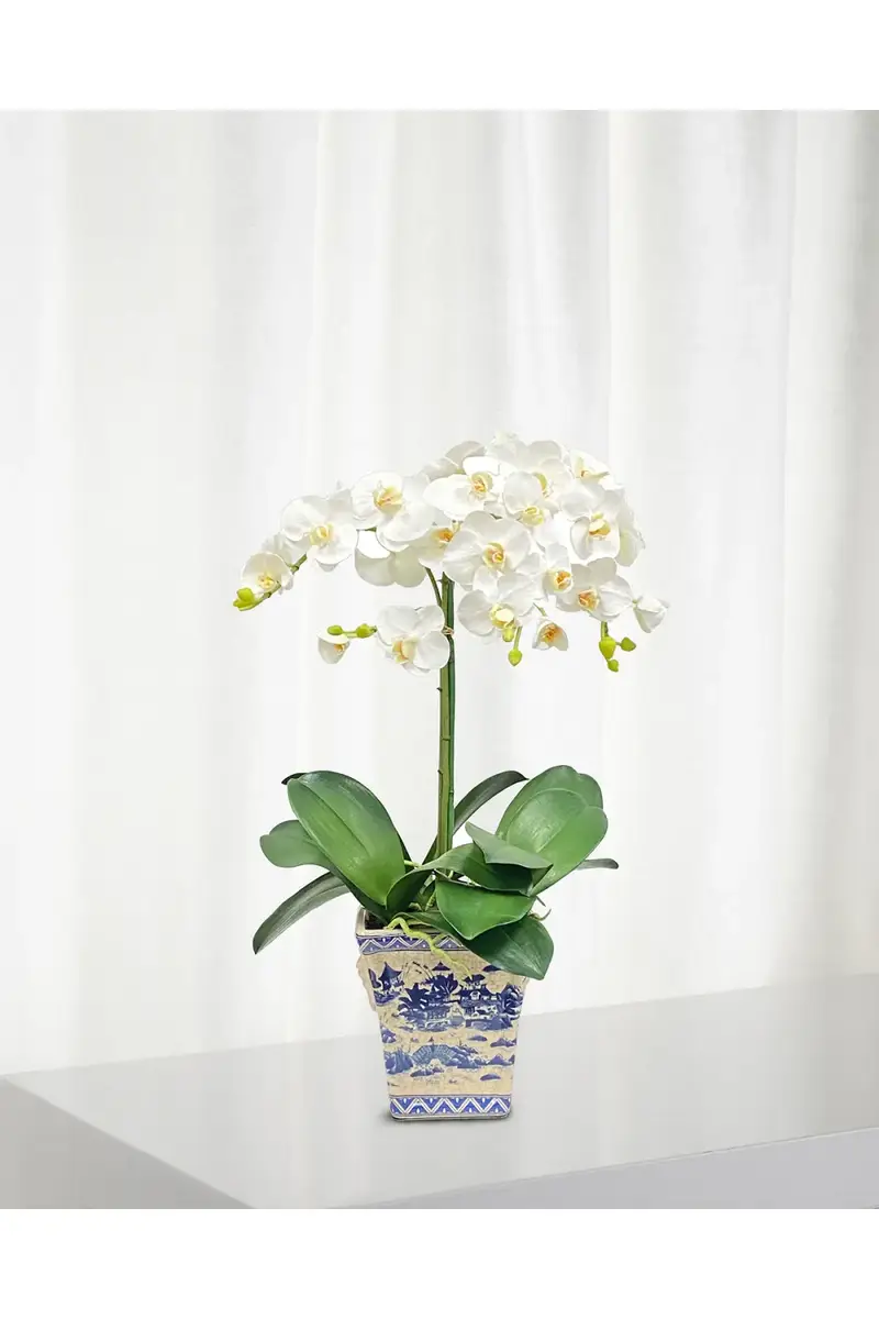 Winward Home Faux Phalaenopsis Orchids in Pot | Thumbnail 2 Winward Home Faux Phalaenopsis Orchids in Pot | Thumbnail 2