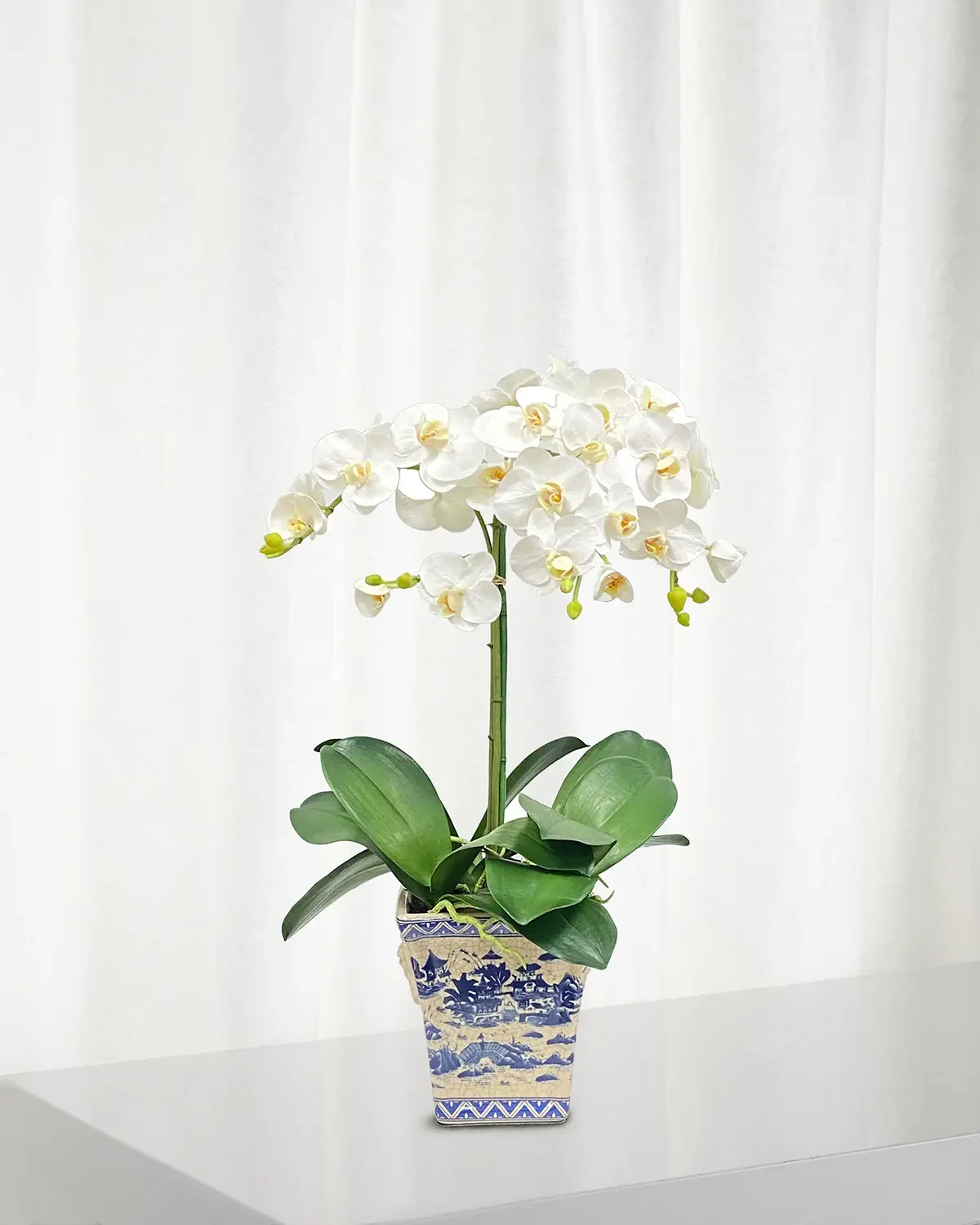 Winward Home Faux Phalaenopsis Orchids in Pot