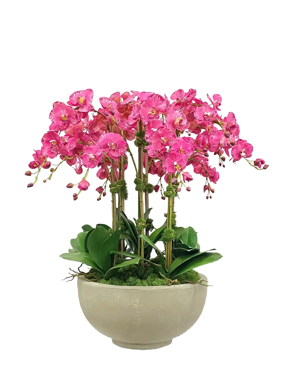 Winward Home Orchid Faux Floral Arrangement in Bowl | Thumbnail 2 Winward Home Orchid Faux Floral Arrangement in Bowl | Thumbnail 2