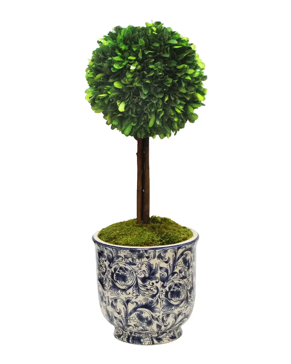 Winward Home 17" Faux Boxwood Topiary in Porcelain Pot | Thumbnail 2 Winward Home 17" Faux Boxwood Topiary in Porcelain Pot | Thumbnail 2