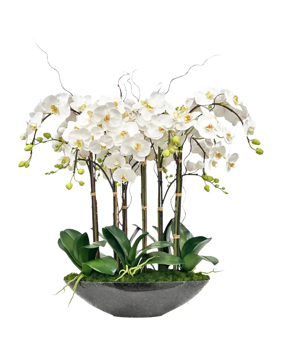 Winward Home Phalaenopsis Orchids 28" Faux Floral Arrangement in Glass Bowl | Thumbnail 2 Winward Home Phalaenopsis Orchids 28" Faux Floral Arrangement in Glass Bowl | Thumbnail 2