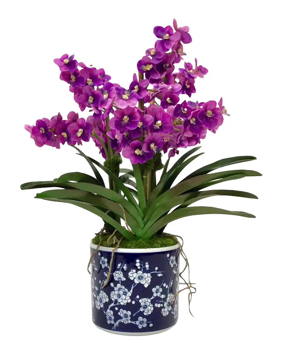 Winward Home Vanda Orchids 25" Faux Floral Arrangement in Porcelain Pot | Thumbnail 2 Winward Home Vanda Orchids 25" Faux Floral Arrangement in Porcelain Pot | Thumbnail 2