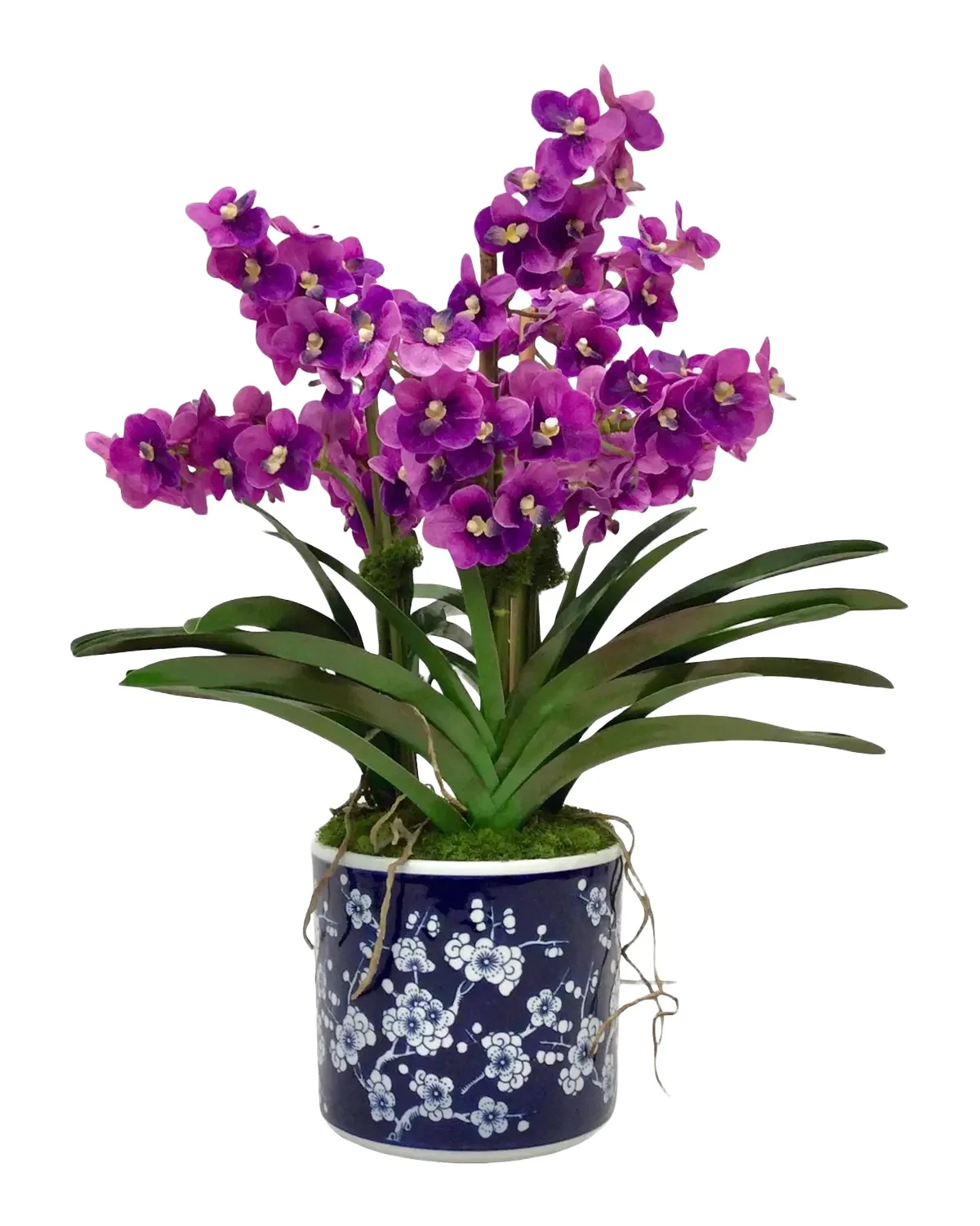 Winward Home Vanda Orchids 25" Faux Floral Arrangement in Porcelain Pot