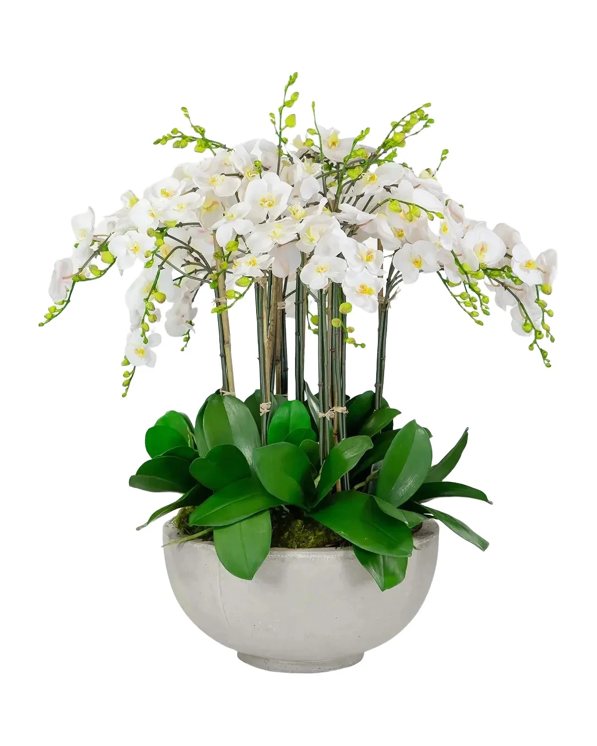 Winward Home Orchids 34" Faux Floral Arrangement in Fiberglass Bowl