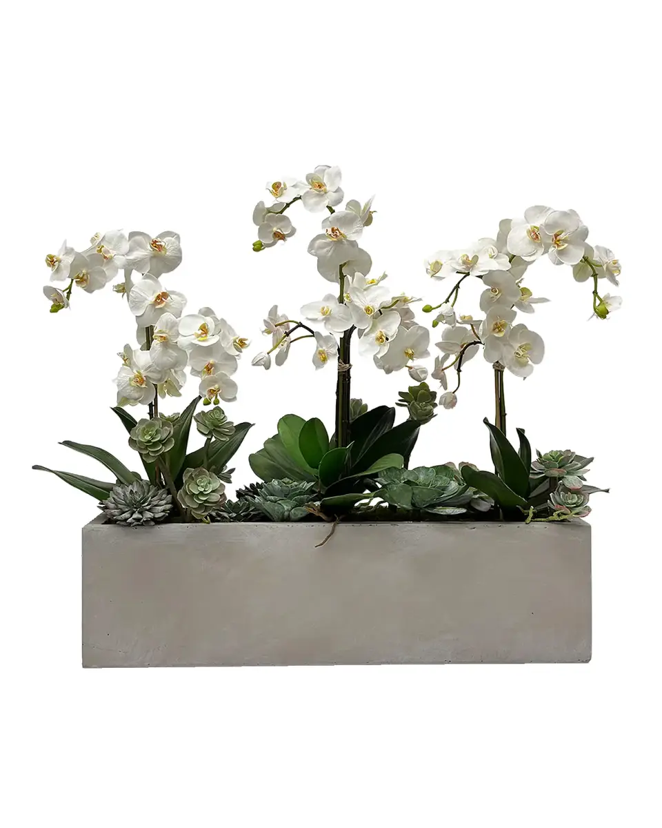 Winward Home Orchids & Succulents 30" Faux Floral Arrangement in Fiberglass Planter | Thumbnail 2 Winward Home Orchids & Succulents 30" Faux Floral Arrangement in Fiberglass Planter | Thumbnail 2