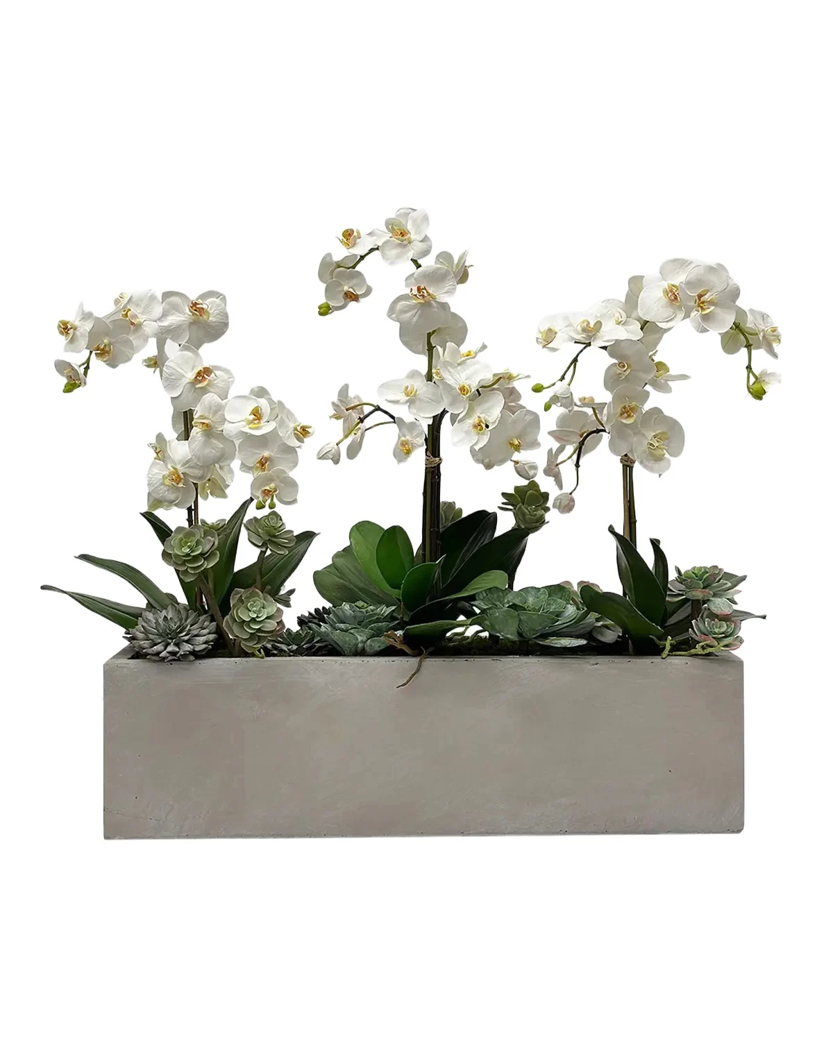Winward Home Orchids & Succulents 30" Faux Floral Arrangement in Fiberglass Planter