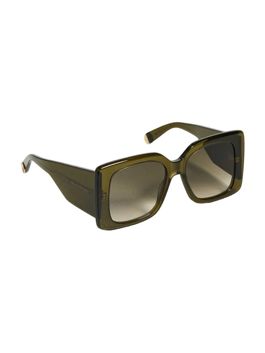 Medallion Sunglasses Medallion Sunglasses