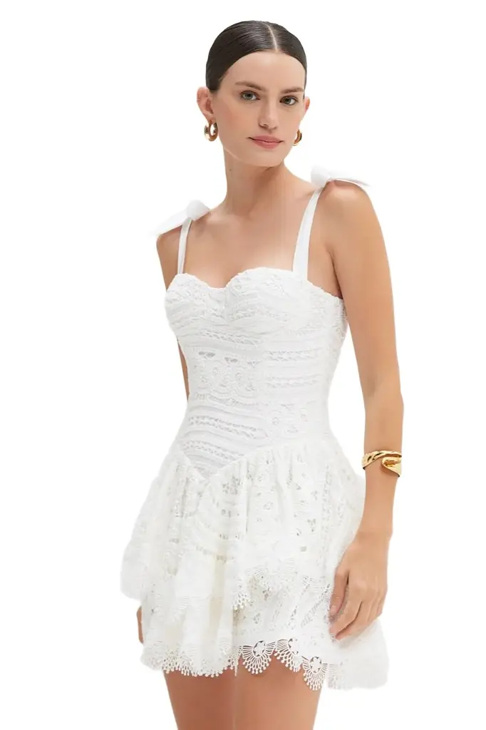 PatBo RHYTHMIC LACE MINI DRESS