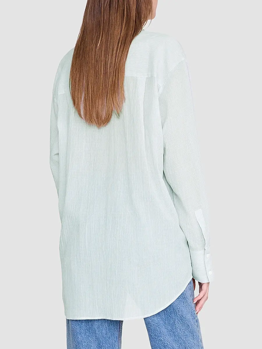 Anine Bing Women's Plaza Striped Cotton Shirt | Thumbnail 3