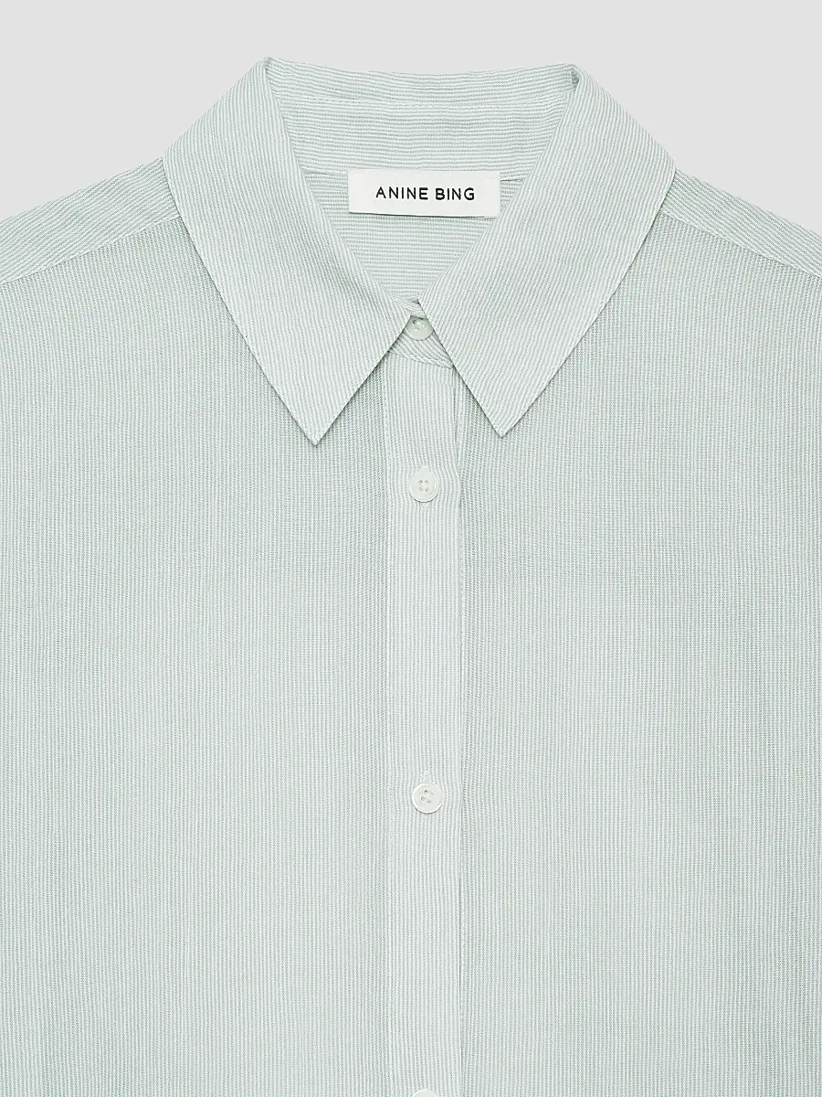 Anine Bing Women's Plaza Striped Cotton Shirt | Thumbnail 5