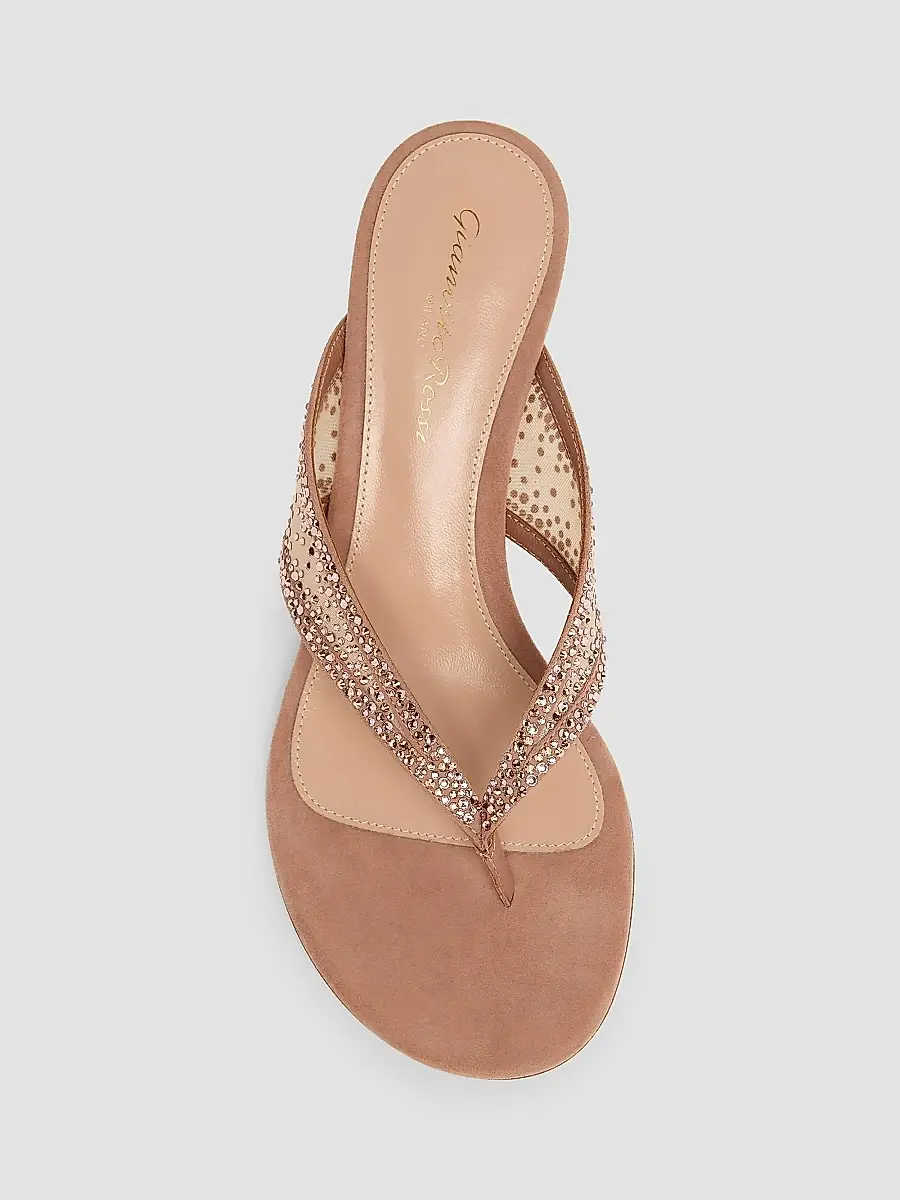 Gianvito Rossi Women's 55MM Crystal-Embellished Suede & Organza Sandals - Light Beige | Thumbnail 4