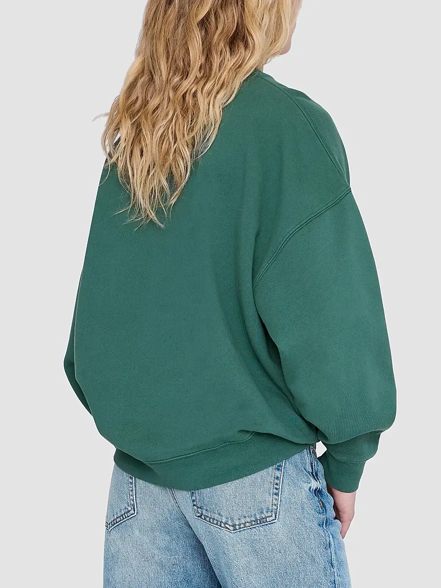 Anine Bing Women's Miles Leopard Graphic Cotton Sweatshirt | Thumbnail 3