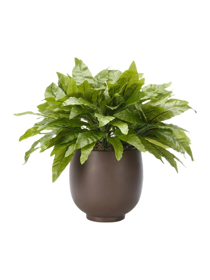 NDI Faux Bird's Nest Fern In Concrete Pot - Green
