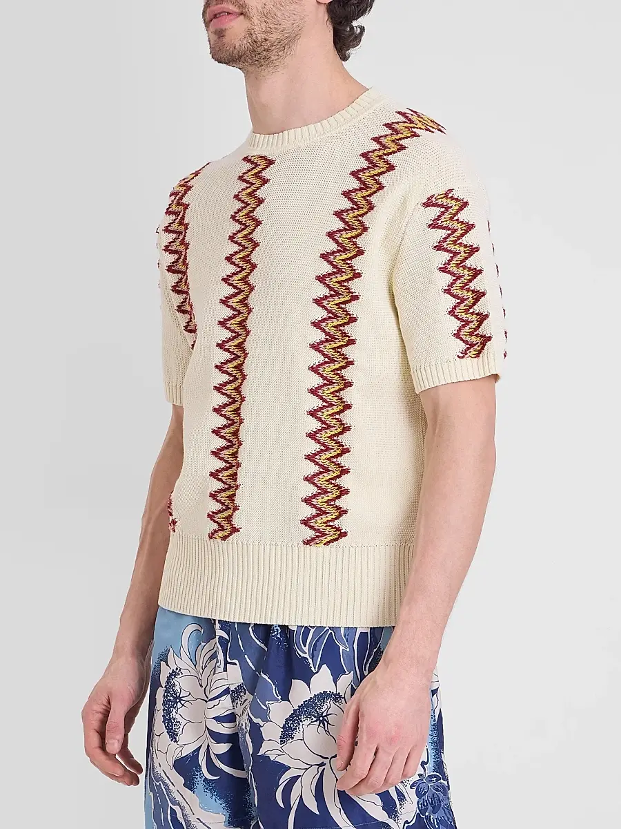 JW Anderson Men's Chevron Knit Cotton Sweater | Thumbnail 4 JW Anderson Men's Chevron Knit Cotton Sweater | Thumbnail 4