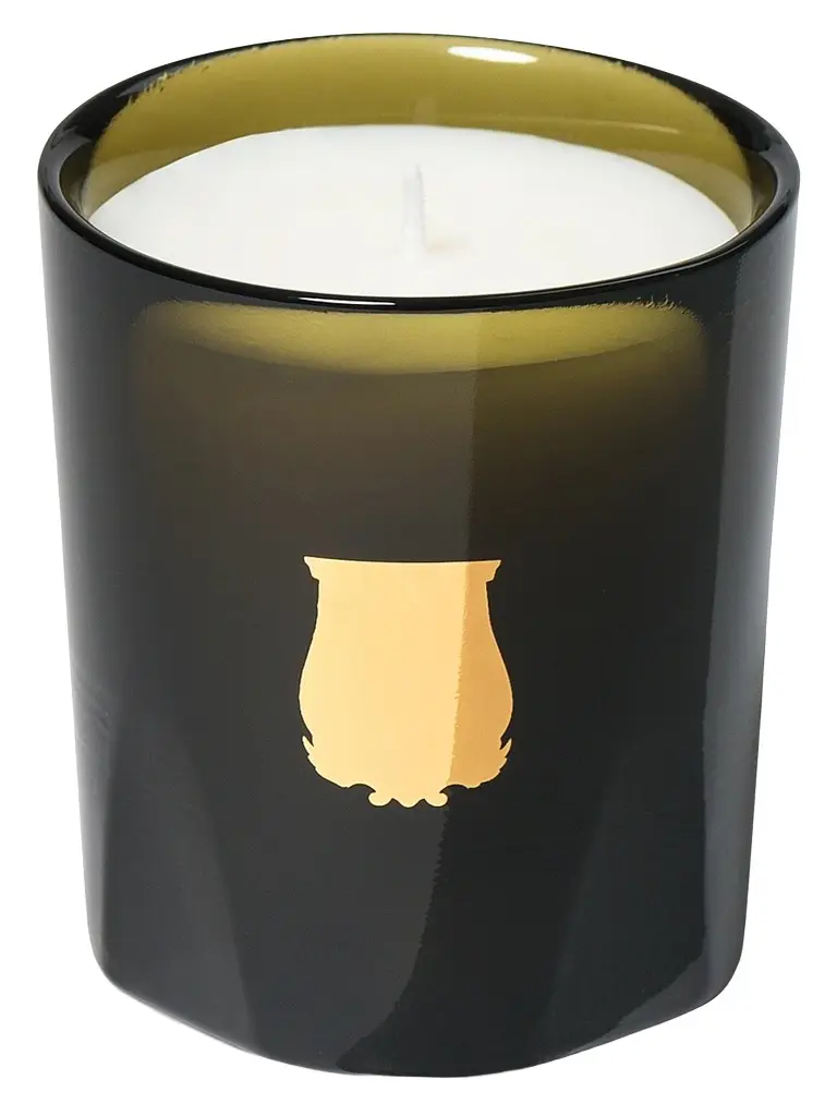 TRUDON Gabriel Gourmand Chimney Fire