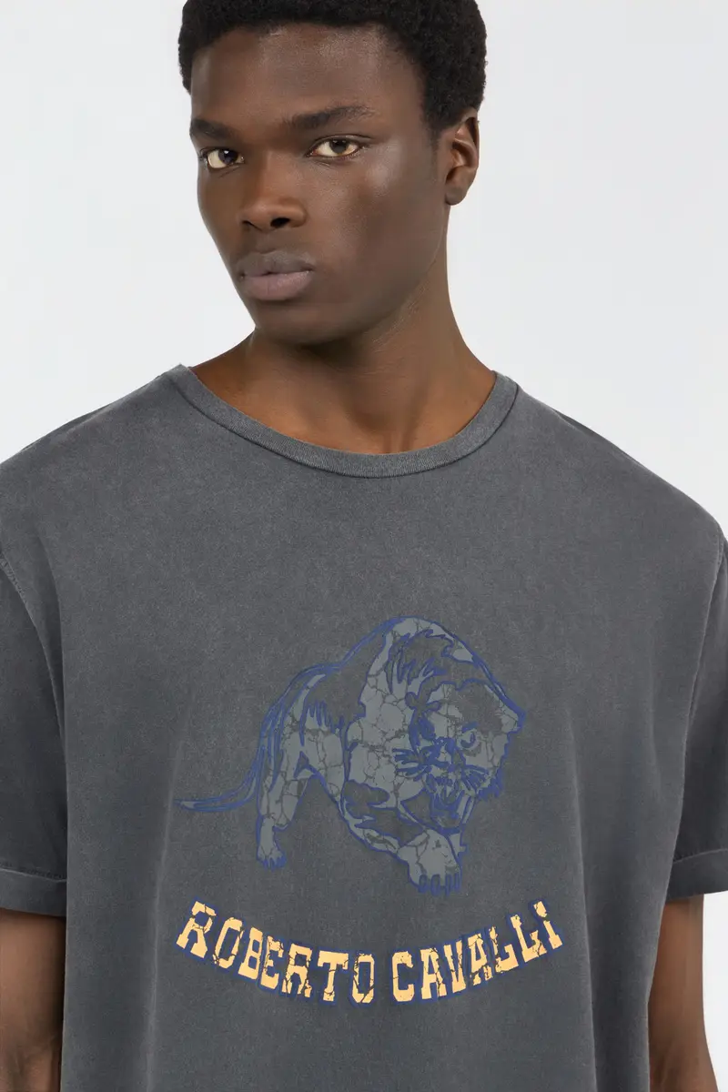 Roberto Cavalli Grey T-Shirt | Thumbnail 4 Roberto Cavalli Grey T-Shirt | Thumbnail 4