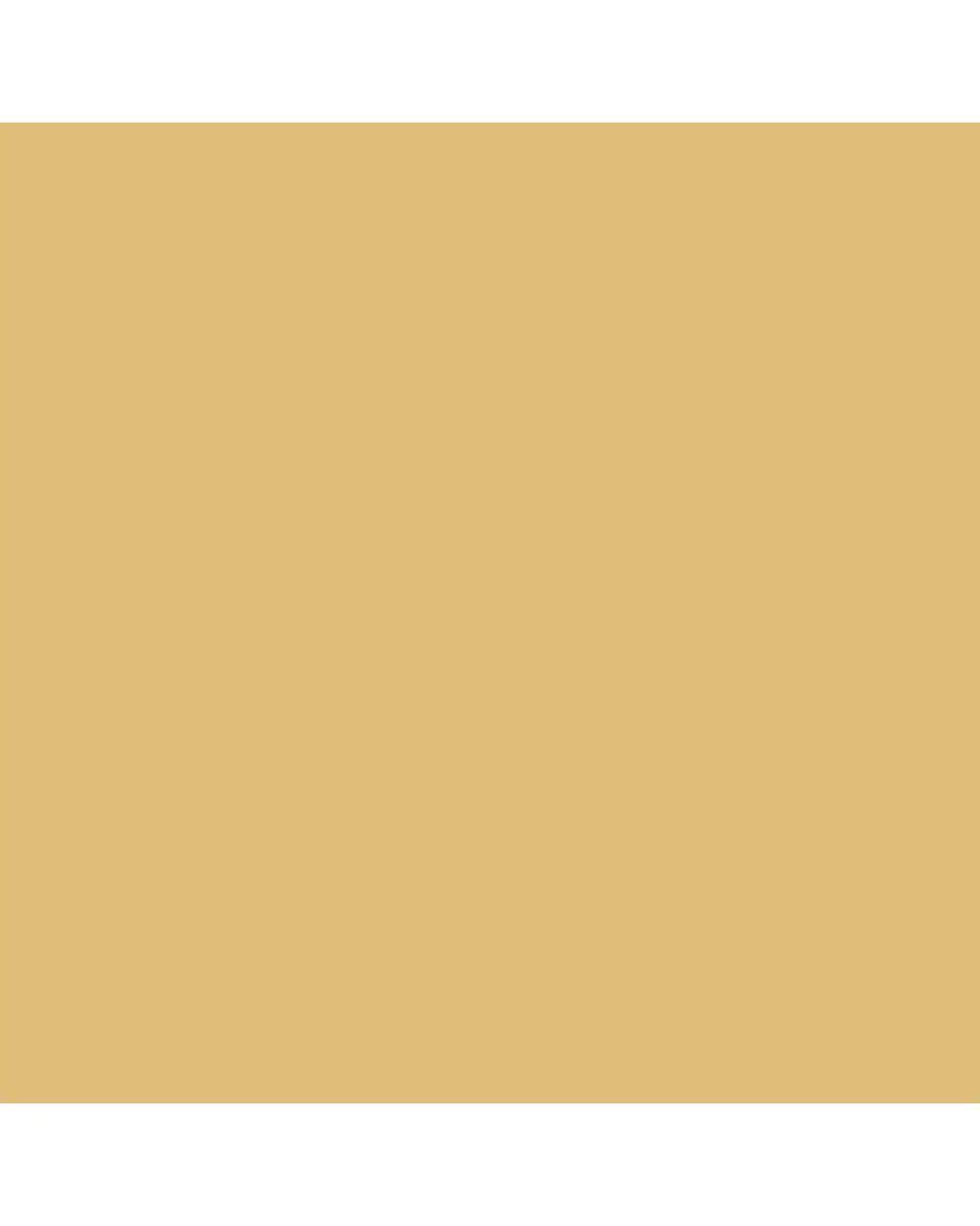 FORNASETTI Tema E Variazioni n. 96 Butterfly Face Gold Wall Plate | Thumbnail 2
