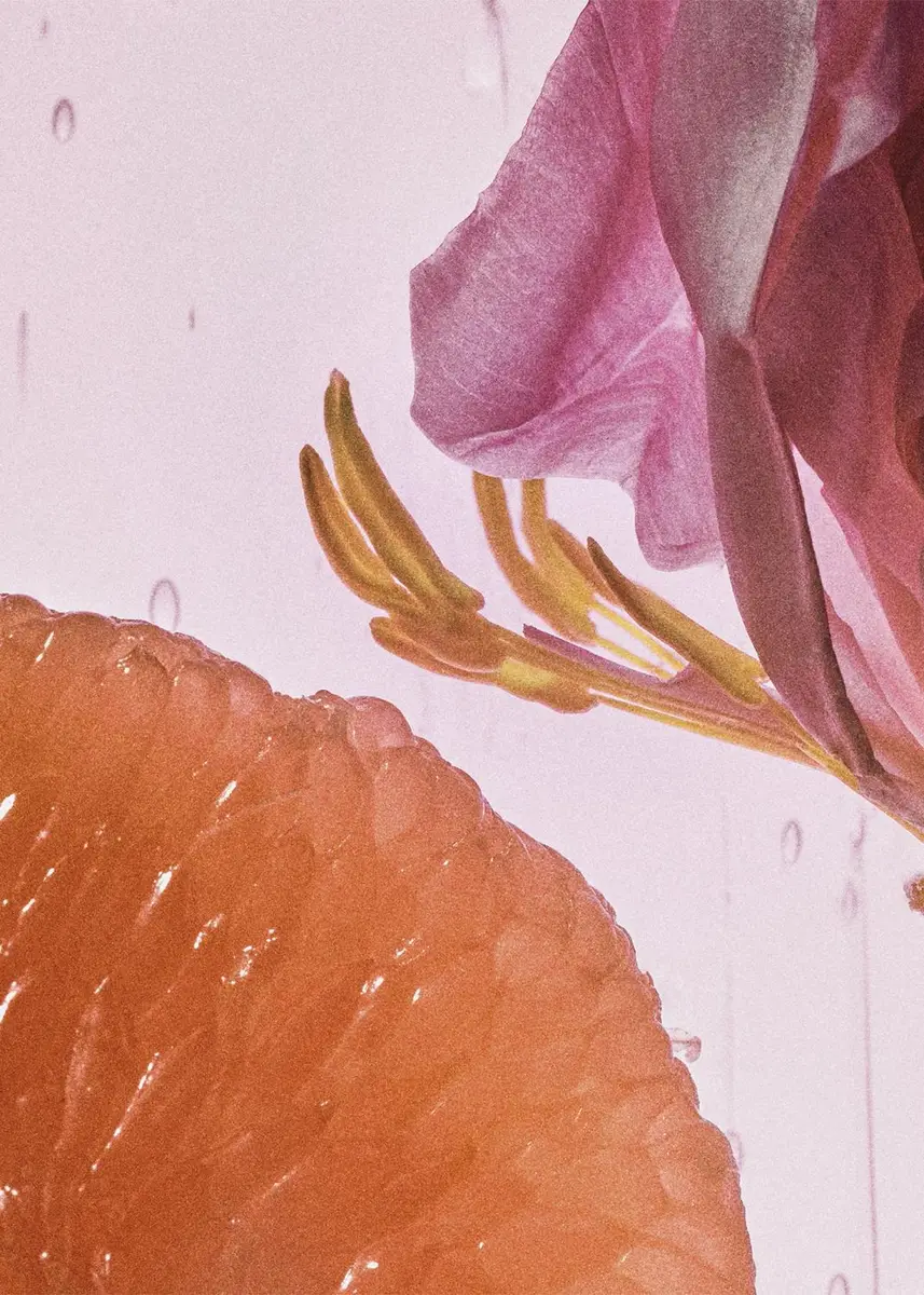 Loewe Rosetopia Eau De Parfum | Thumbnail 4