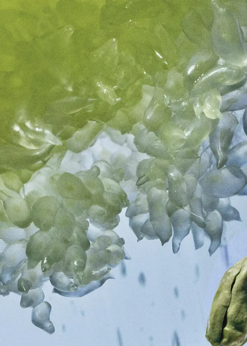 Loewe Verdant Grove Eau De Parfum | Thumbnail 4