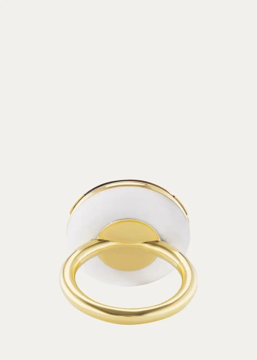 Emily P. Wheeler 18K Balance Ring with Aquamarine, Blue Sapphires, and Tiger's Eye | Thumbnail 2