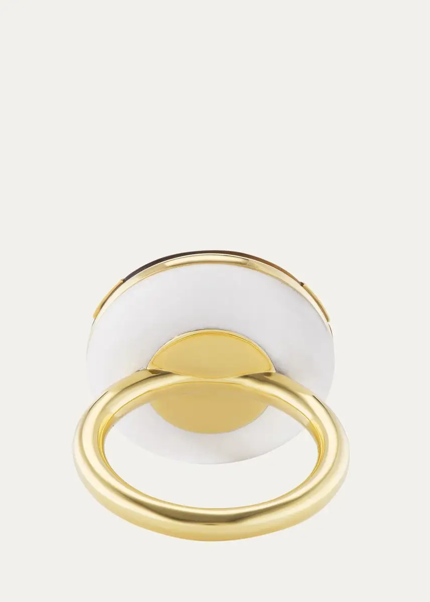 Emily P. Wheeler 18K Balance Ring with Aquamarine, Blue Sapphires, and Tiger's Eye | Thumbnail 3