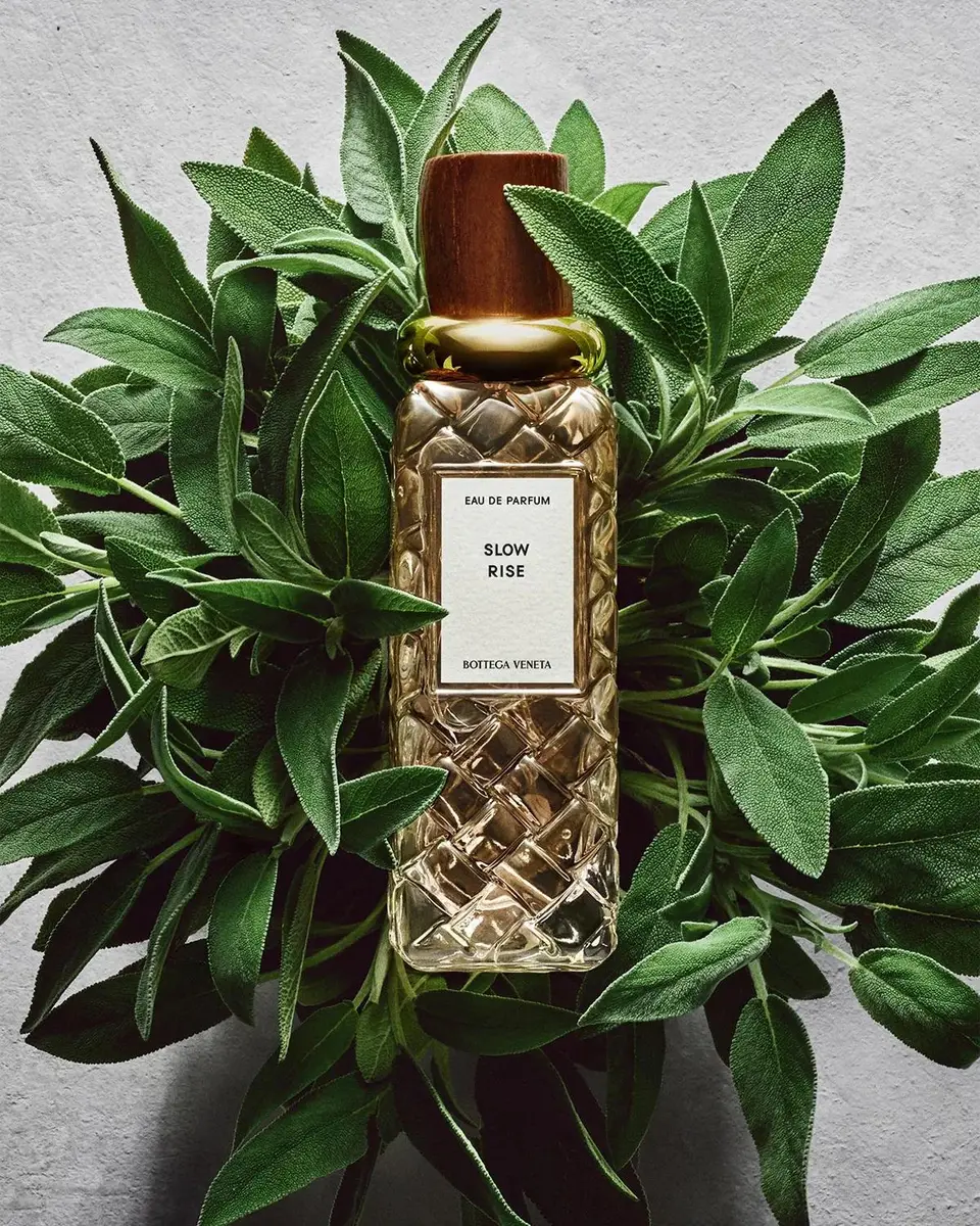 Bottega Veneta Slow Rise Eau de Parfum, 3.4 oz. | Thumbnail 4 Bottega Veneta Slow Rise Eau de Parfum, 3.4 oz. | Thumbnail 4