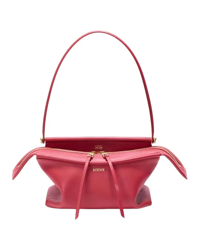 Loewe Whisker Small Leather Shoulder Bag