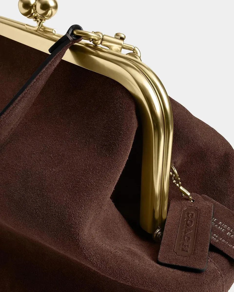 Coach Frame Suede Shoulder Bag | Thumbnail 6
