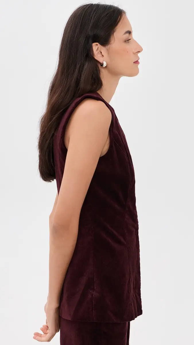 Joe's Jeans The Velveteen Tunic | Thumbnail 4 Joe's Jeans The Velveteen Tunic | Thumbnail 4