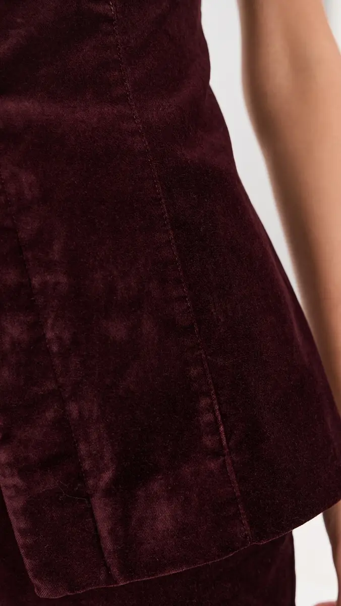Joe's Jeans The Velveteen Tunic | Thumbnail 6 Joe's Jeans The Velveteen Tunic | Thumbnail 6