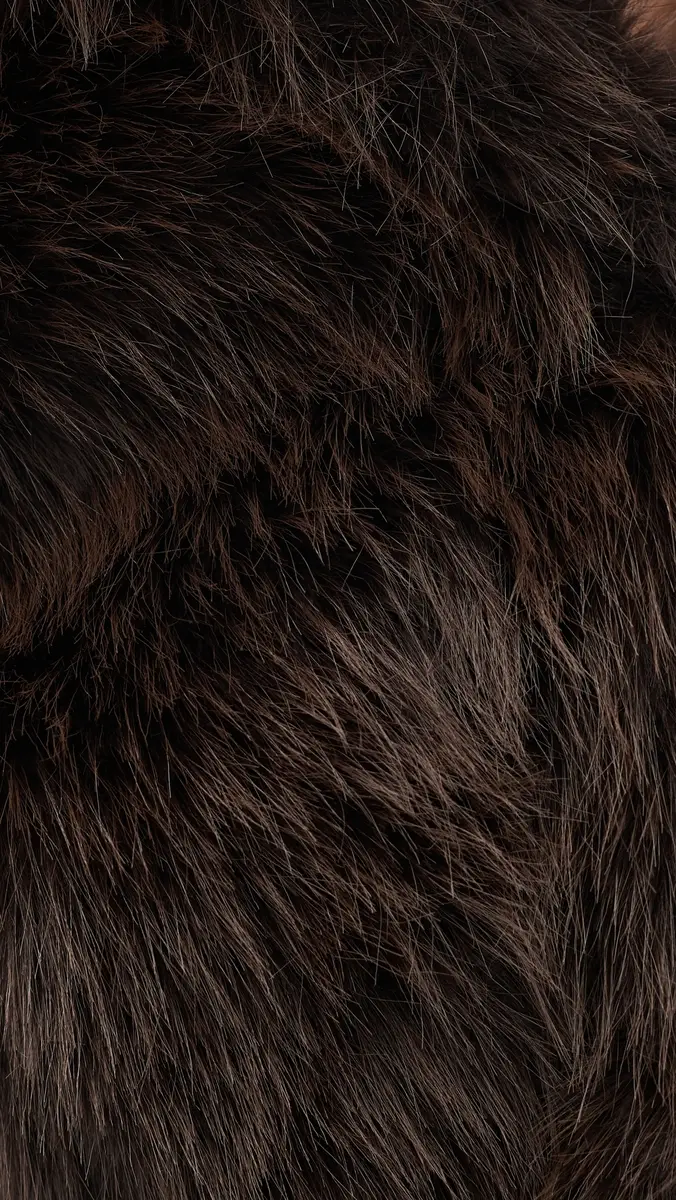 BLANKNYC Steady Rise Faux Fur Jacket | Thumbnail 6 BLANKNYC Steady Rise Faux Fur Jacket | Thumbnail 6