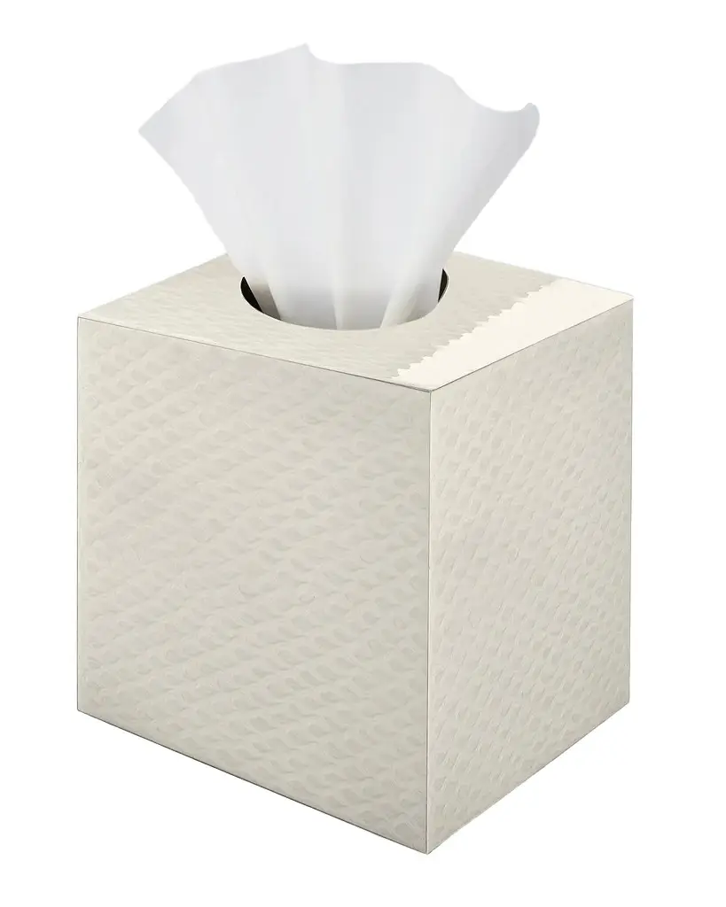 Mike & Ally Pacific Tissue Box Cover