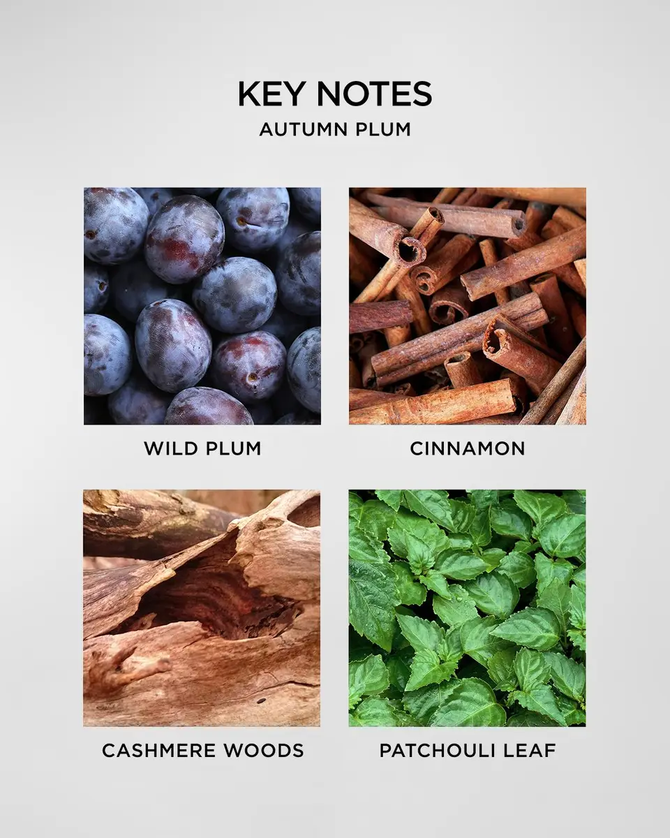 NEST New York 5.9 oz. Autumn Plum Reed Diffuser | Thumbnail 5 NEST New York 5.9 oz. Autumn Plum Reed Diffuser | Thumbnail 5