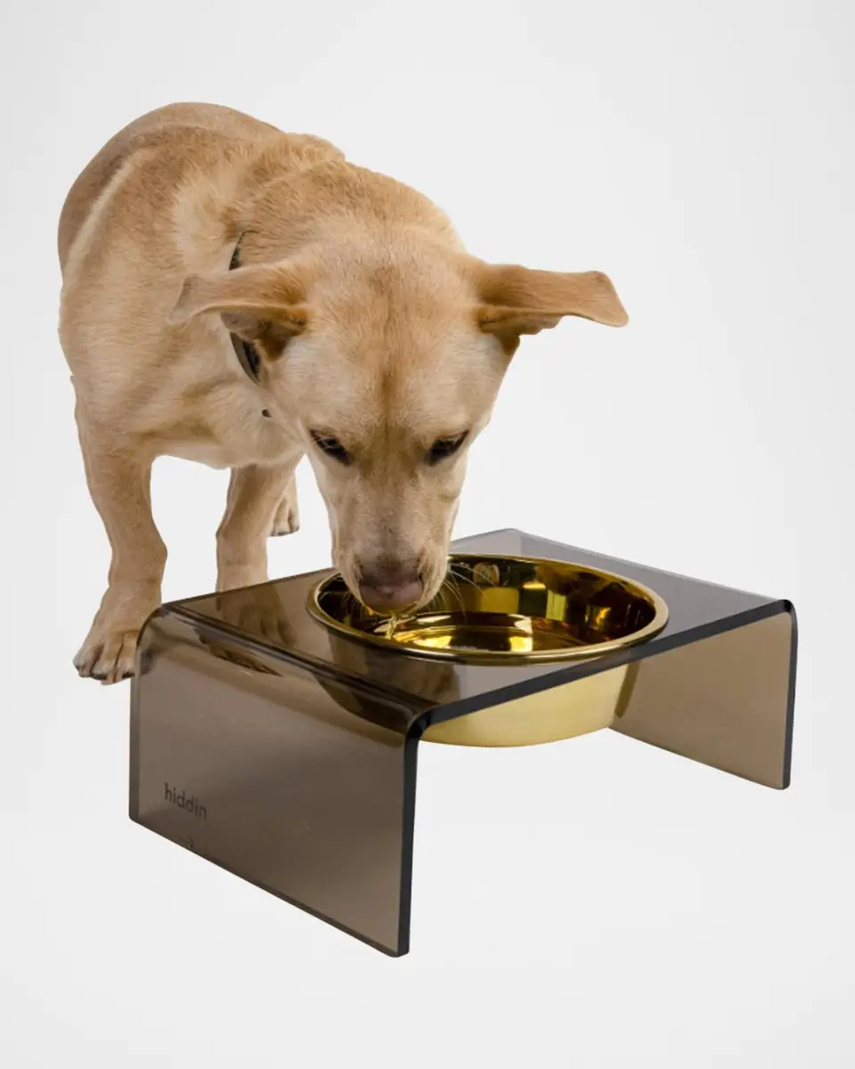 Hiddin Bronze Single Bowl Pet Feeder | Thumbnail 4 Hiddin Bronze Single Bowl Pet Feeder | Thumbnail 4