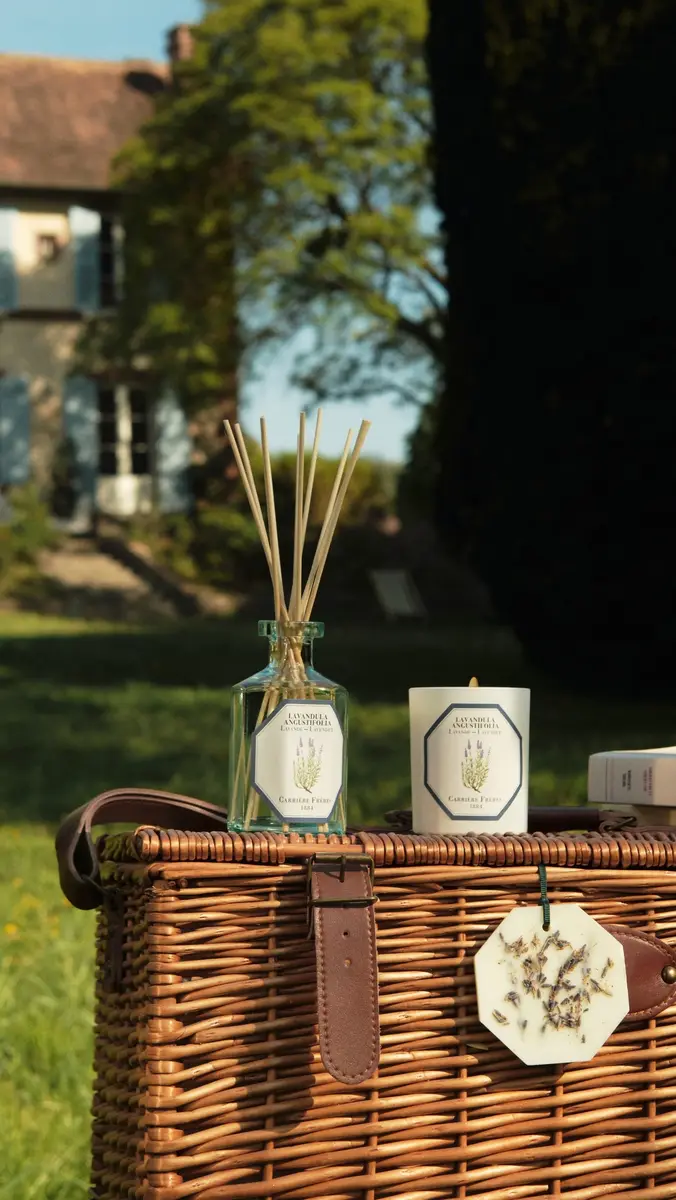 Carriere Freres Lavender Candle No Color | Thumbnail 4 Carriere Freres Lavender Candle No Color | Thumbnail 4