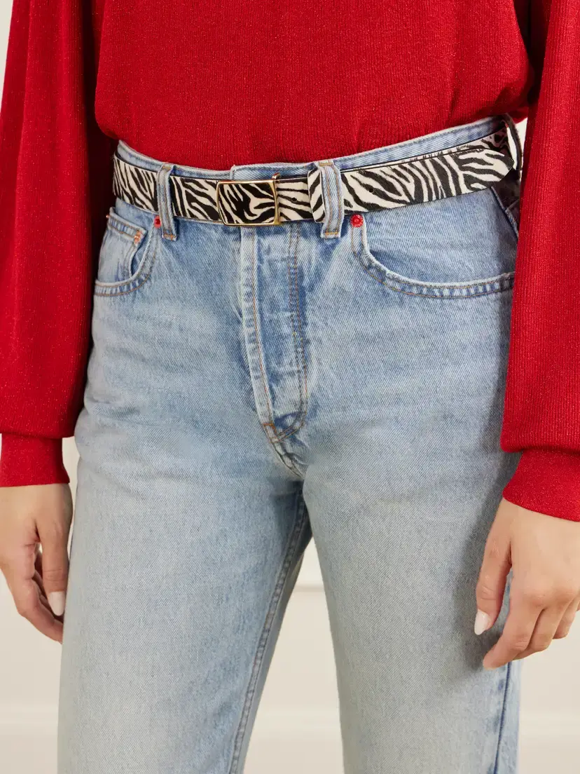 Isabel Marant Deza Zebra-print Calf Hair Belt | Thumbnail 2