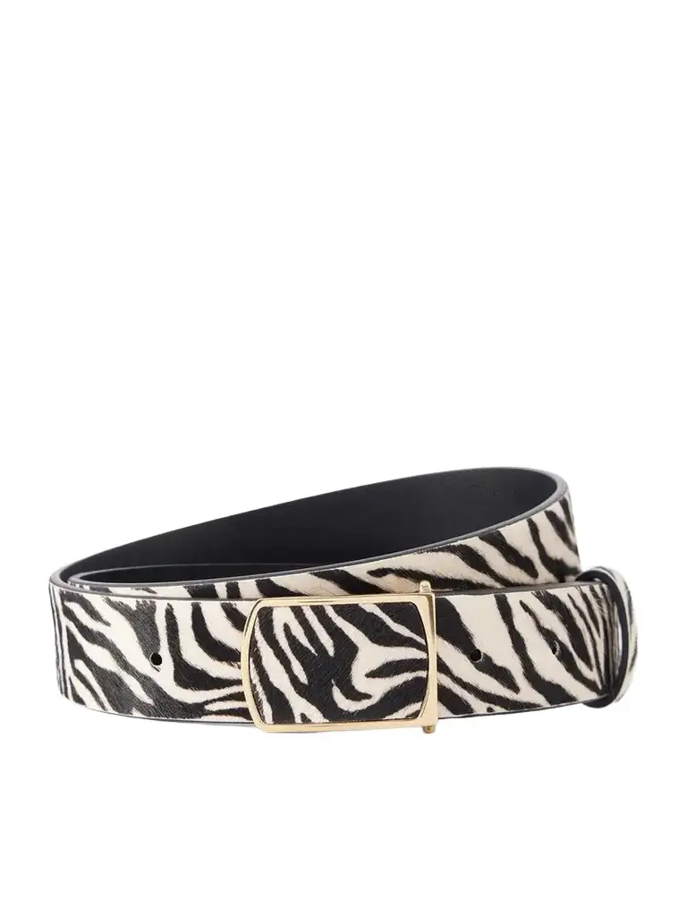 Isabel Marant Deza Zebra-print Calf Hair Belt