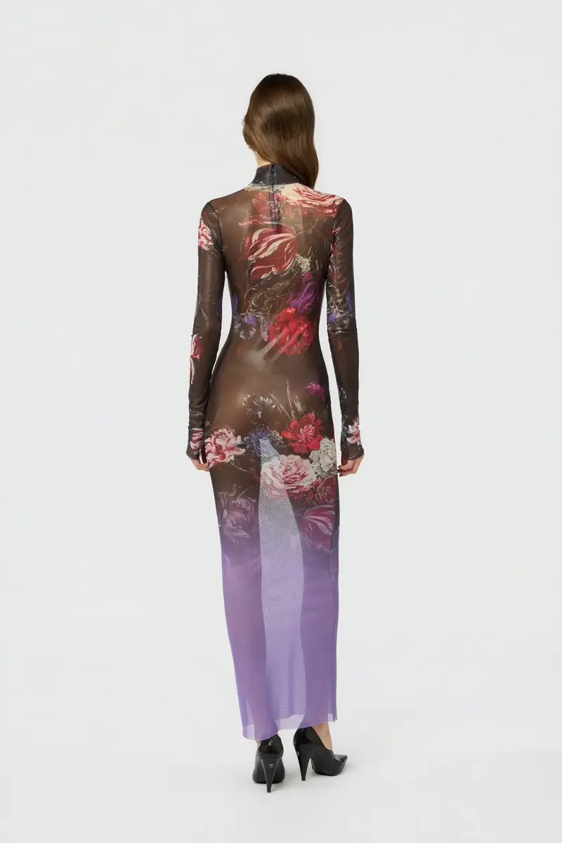 Roberto Cavalli Laminated Tulle Dress With Fiammingo Flowers Print | Thumbnail 3 Roberto Cavalli Laminated Tulle Dress With Fiammingo Flowers Print | Thumbnail 3