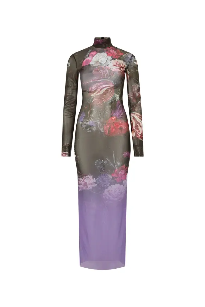 Roberto Cavalli Laminated Tulle Dress With Fiammingo Flowers Print