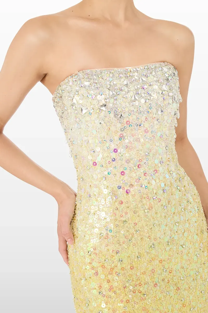 Jenny Packham Marle Saint Embellished Strapless Maxi Dress | Thumbnail 3 Jenny Packham Marle Saint Embellished Strapless Maxi Dress | Thumbnail 3