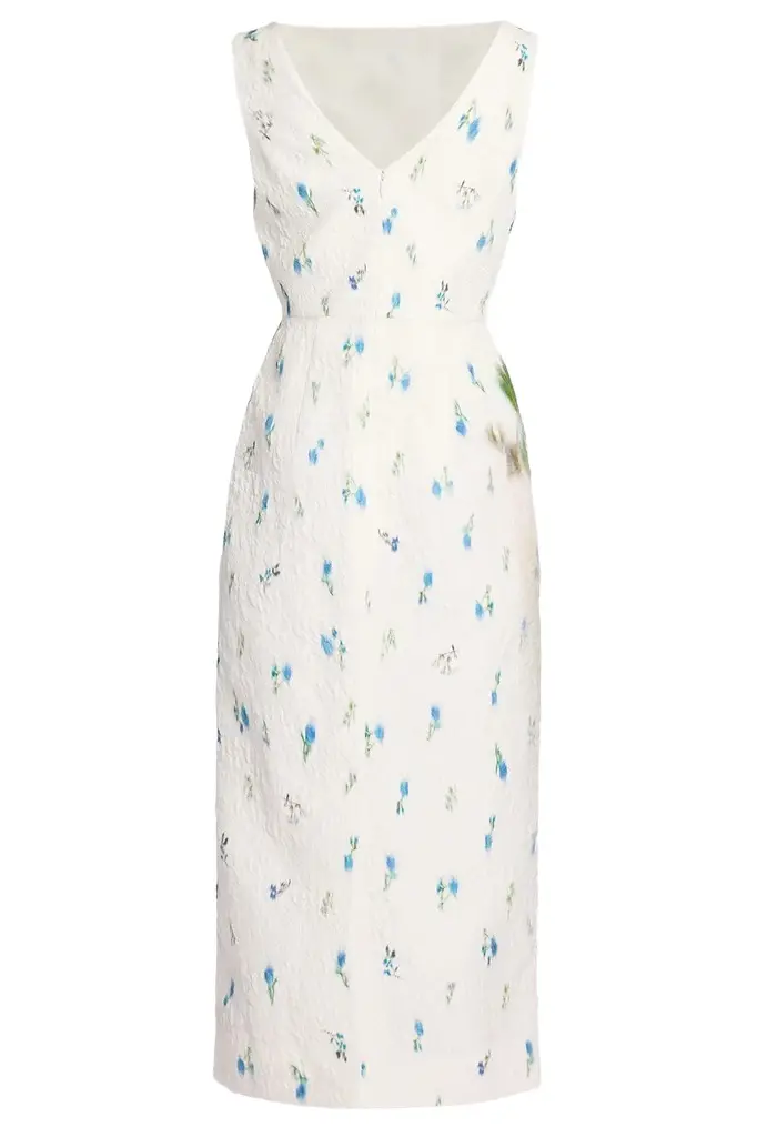 Erdem Printed Sleeveless Maxi Dress