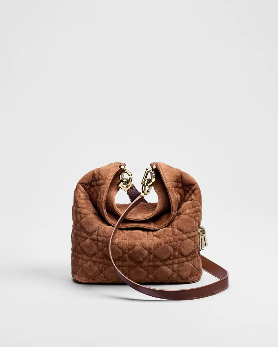 Dior Small Dior Toujours Hobo Bag | Thumbnail 10 Dior Small Dior Toujours Hobo Bag | Thumbnail 10