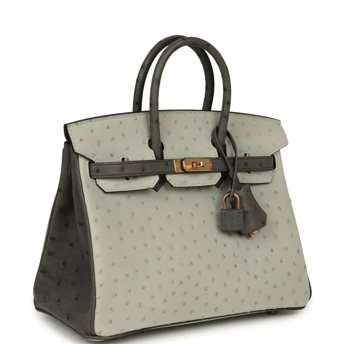 HERMÈS Hermes Special Order (HSS) Birkin 25 Gris Perle, Graphite Ostrich Rose Gold Hardware | Thumbnail 2