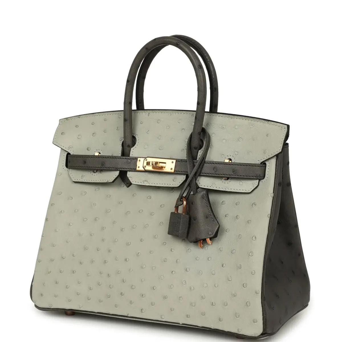 HERMÈS Hermes Special Order (HSS) Birkin 25 Gris Perle, Graphite Ostrich Rose Gold Hardware | Thumbnail 5