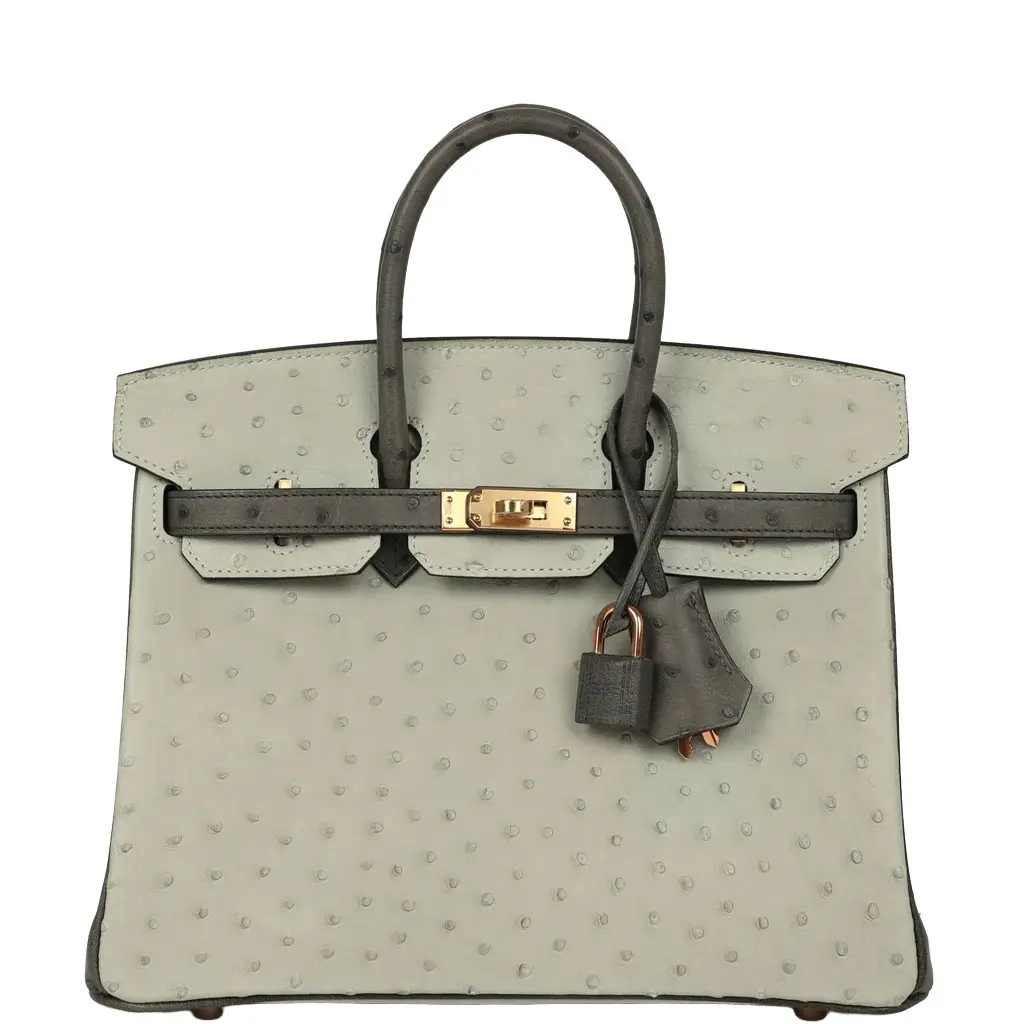 HERMÈS Hermes Special Order (HSS) Birkin 25 Gris Perle, Graphite Ostrich Rose Gold Hardware