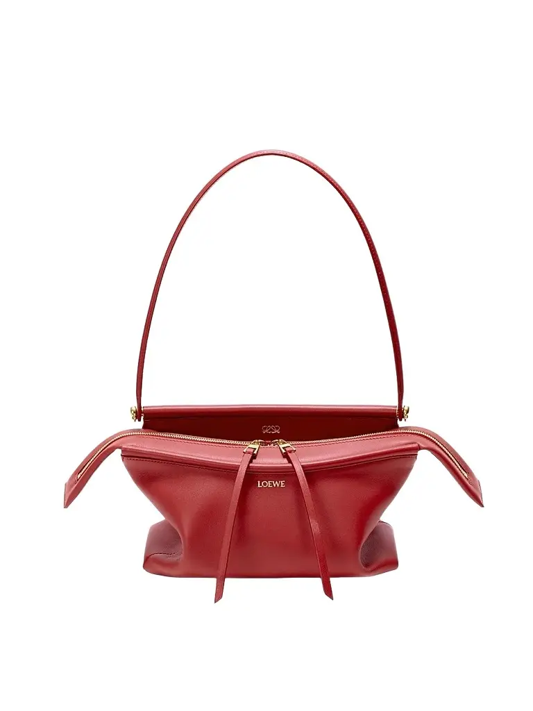 Loewe Women's Whisker Small Leather Shoulder Bag