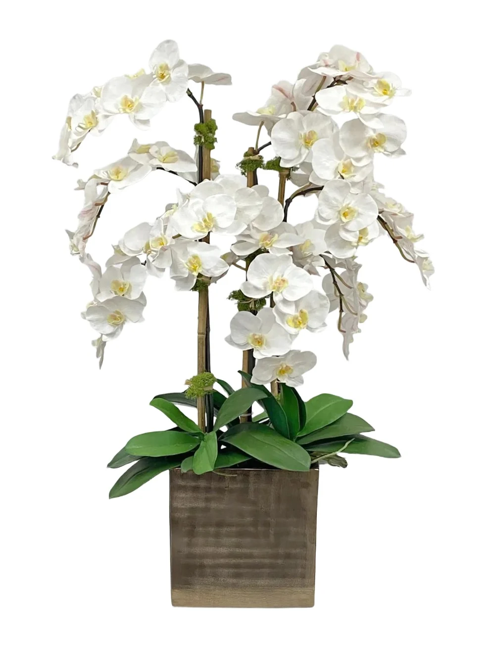 Winward Home Newness Artificial Orchid Floral Arrangement